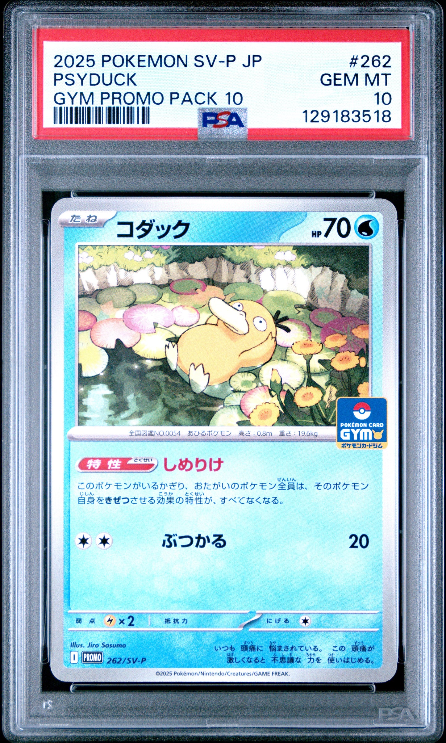 PSA10 PSYDUCK 262/SV-P POKEMON GYM PROMO PACK 10 POKEMON JAPANESE